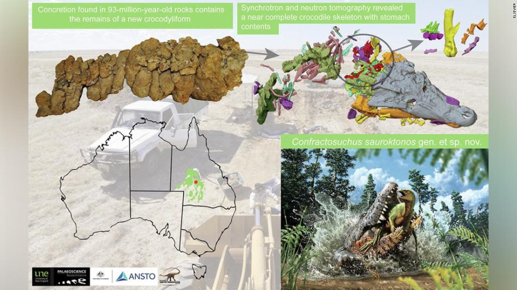 Australien: Wissenschaftler sagten, dass eine neu entdeckte Krokodilart bei ihrer letzten Mahlzeit einen kleinen Dinosaurier gefressen hat