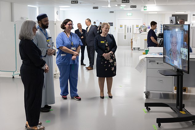 Mitarbeiter und Patienten sprachen über die Irrungen und Wirrungen bei der Bewältigung von COVID mit der Königin