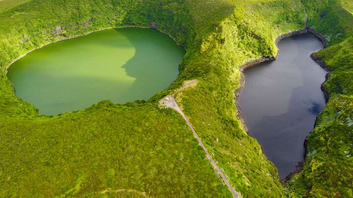 Ein Anthropologe glaubt, dass eine uralte menschliche Spezies auf der Insel Flores überleben könnte