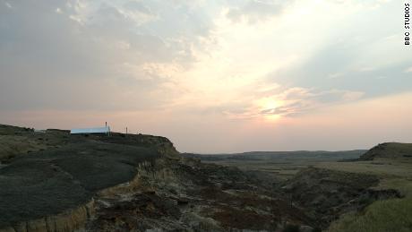 Die Fundstelle Tanis Fossil in North Dakota war vor 66 Millionen Jahren ein sumpfiger Regenwald. 