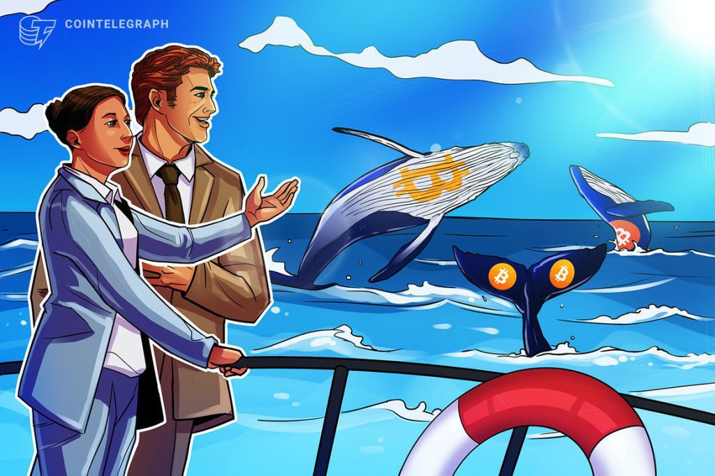 Was ist Bitcoin Whale Watching und wie kann man Bitcoin Whale verfolgen?
