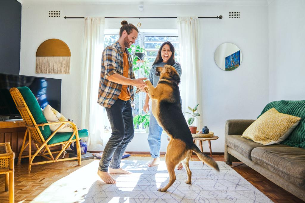 Hunde weinen Freudentränen, wenn sie mit ihren Besitzern wiedervereint sind: eine Studie
