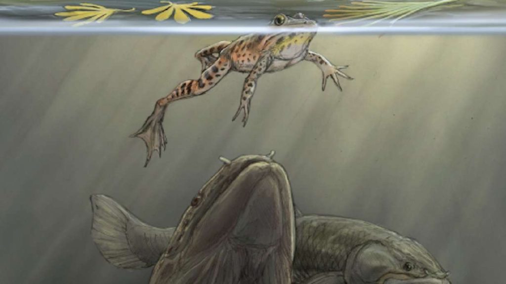 150 Millionen Jahre altes Erbrochenes, das in Utah gefunden wurde, bietet einen „seltenen Einblick“ in prähistorische Ökosysteme