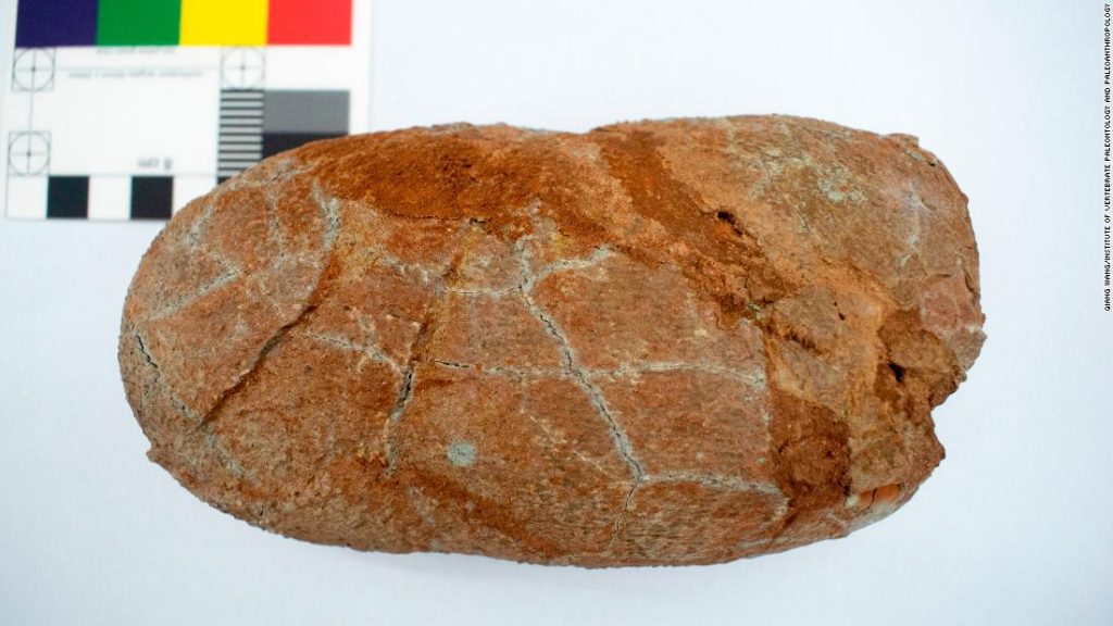 Ei-Studie sagt, dass die Dinosaurier zurückgingen, als der Asteroid einschlug