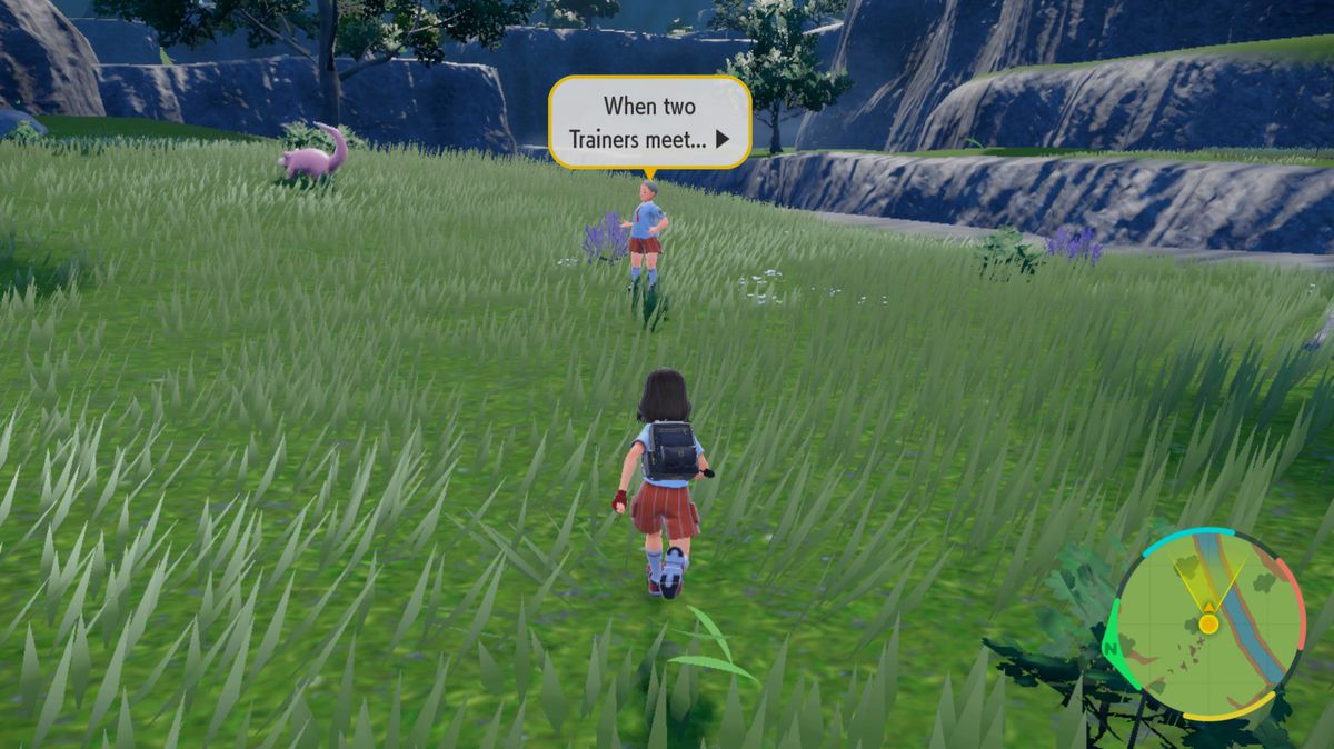Ein Pokémon-Trainer läuft auf einer Wiese auf einen anderen Trainer zu