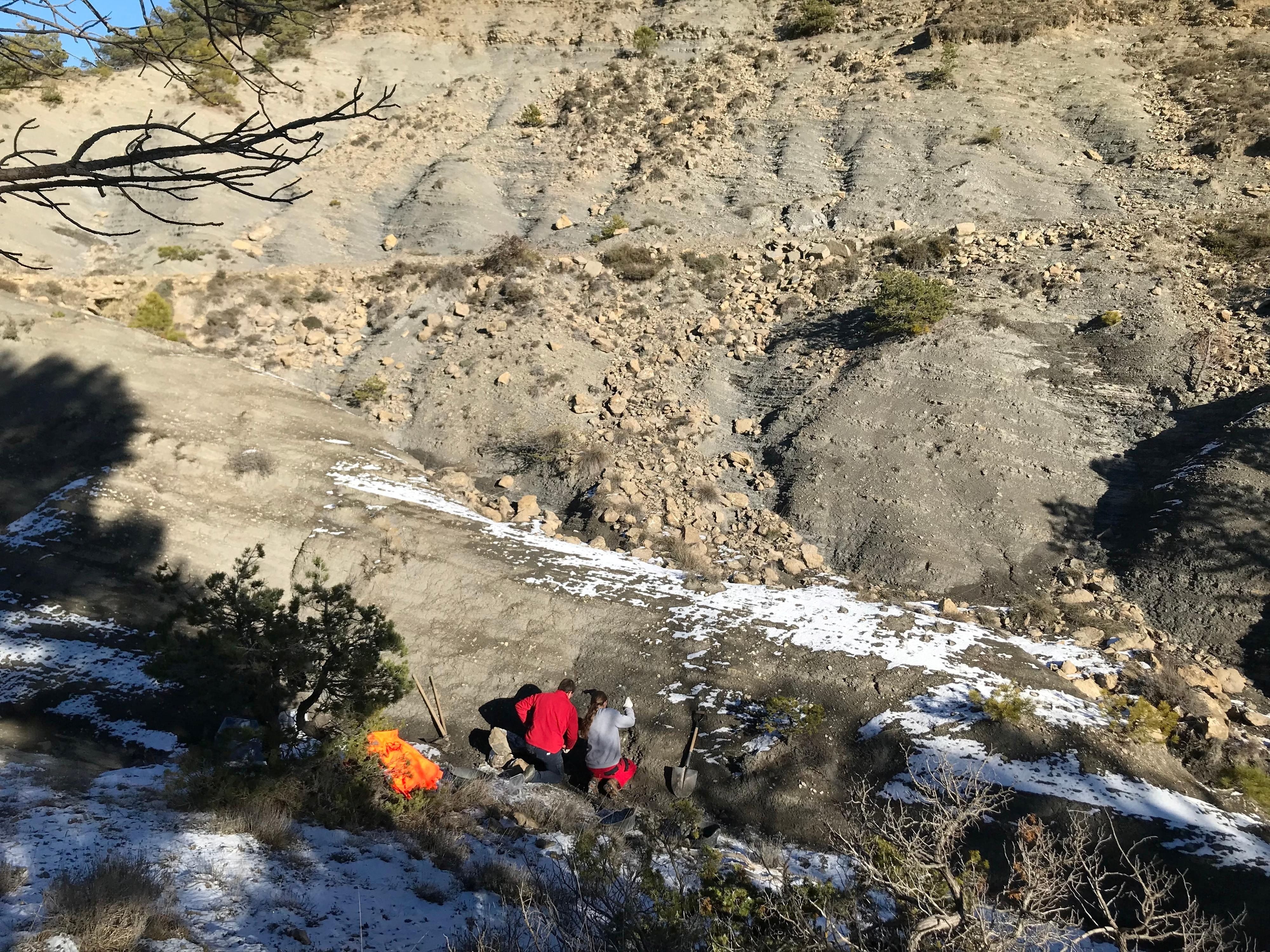 Ausgrabungsstätte, an der Fossilien der großen kreidezeitlichen Meeresschildkröte Leviathanochelys aenigmatica in Katalonien gefunden wurden