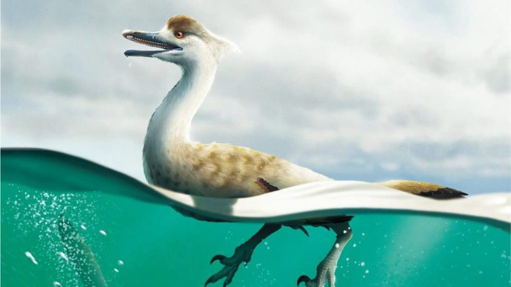 Ein neu entdeckter Dinosaurier, der wie eine Alptraumgans aussieht