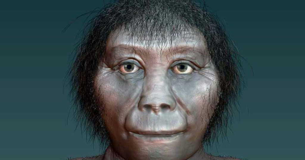 Homo floresiensis