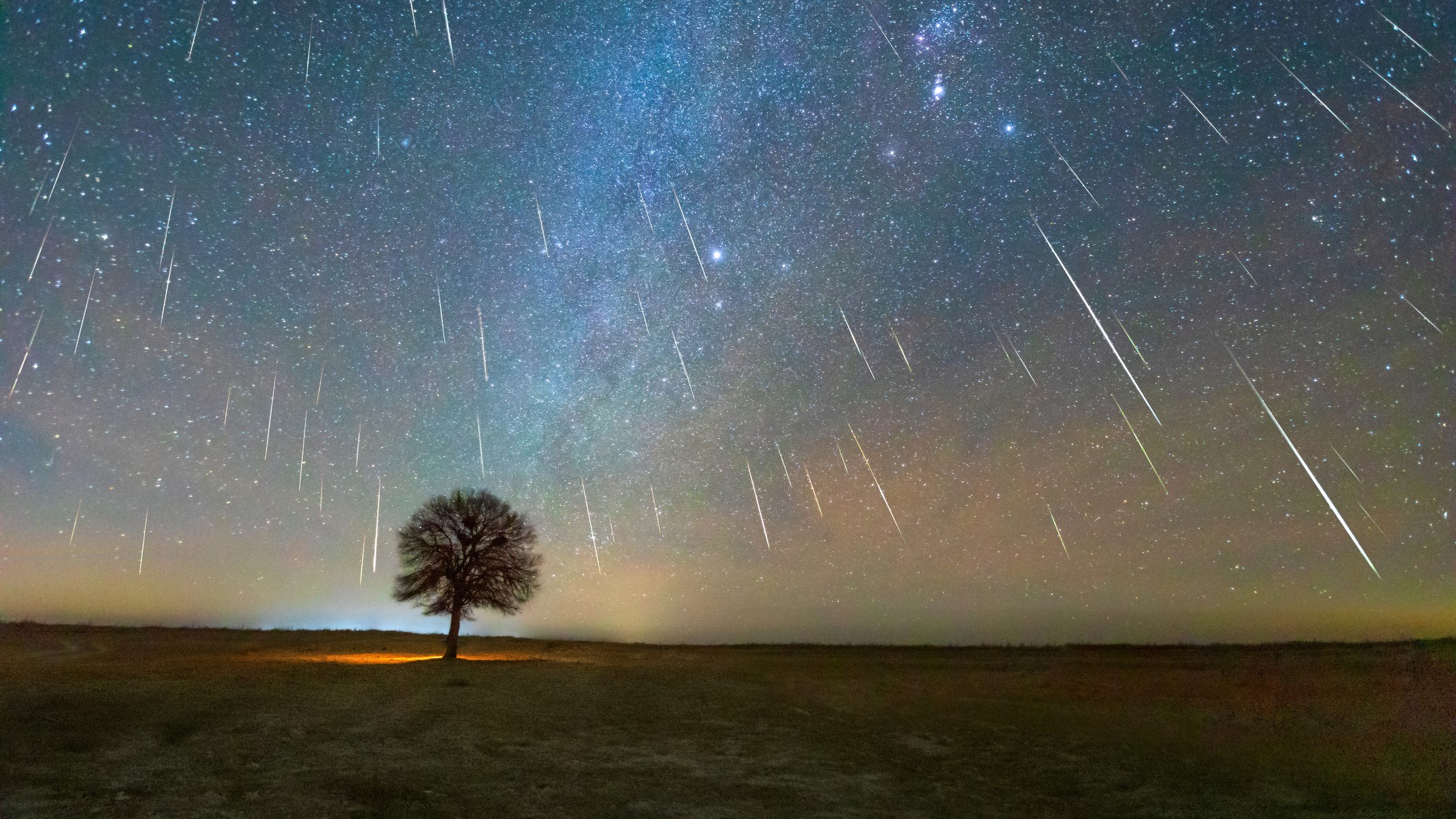 Zwillingsmeteor mit Baumsilhouette im Vordergrund.