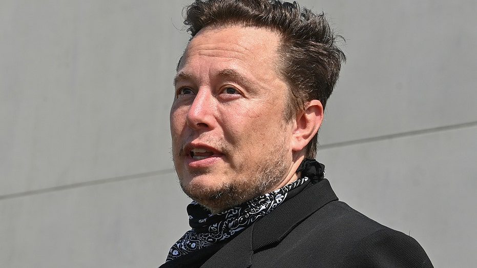 Tesla-Chef Elon Musk befindet sich im Krieg mit der Biden-Regierung