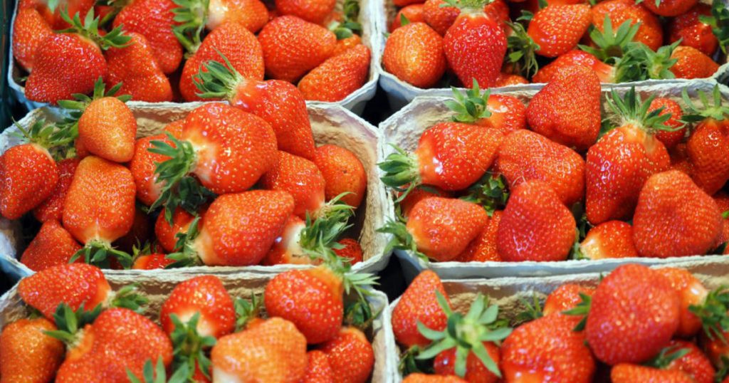 Die U.S. Food and Drug Administration sagt, dass Erdbeeren wahrscheinlich den Ausbruch von Hepatitis A verursacht haben