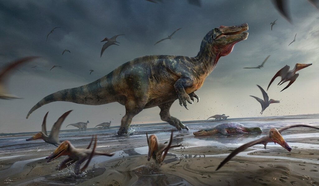Britischer Fossilienjäger entdeckt Europas größten Raubsaurier