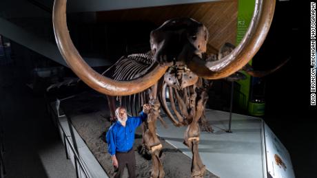 Der Paläontologe Daniel Fisher von der University of Michigan posiert mit einem zusammengesetzten Skelett eines Büsching-Mastodons.