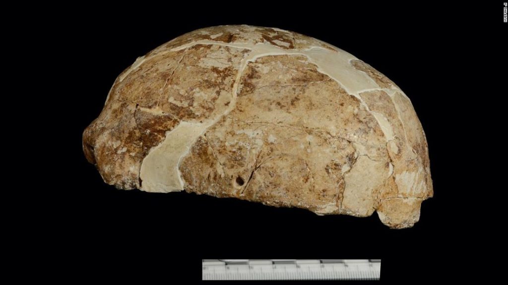 DNA-Analysen enthüllten die Identität mysteriöser Fossilien, die in einer chinesischen Höhle gefunden wurden