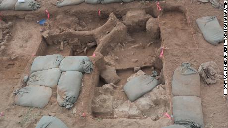 Die Ausgrabungsstätte enthielt gebrochene Knochen vom Schädel, der Wirbelsäule und den Rippen des Mammuts.