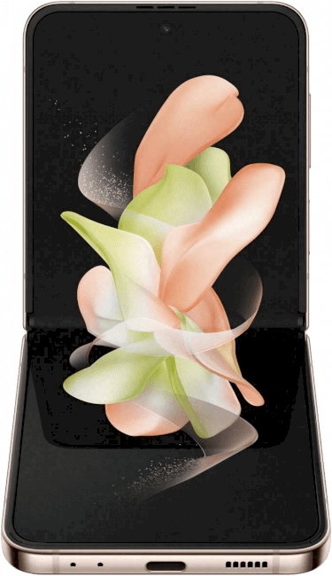 Galaxy Z Flip 4 Bild