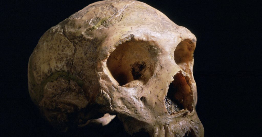 Was unterscheidet Ihr Gehirn von einem Neandertaler?