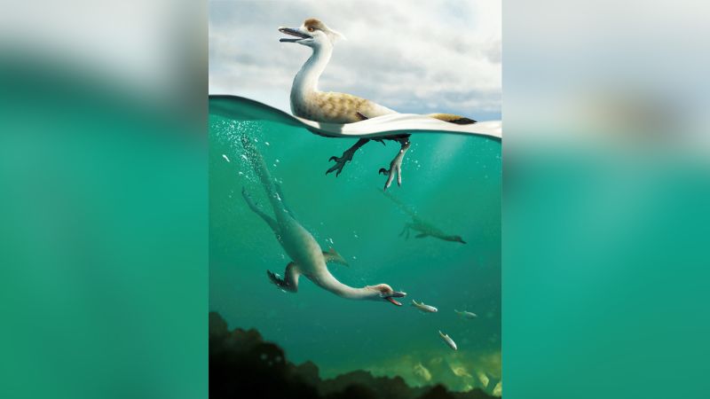 Eine neue Art von Pinguin-ähnlichen Dinosauriern wurde entdeckt